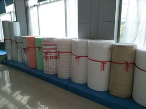 珍珠棉發(fā)泡膜設(shè)備塑料機械