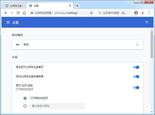 比特球瀏覽器軟件下載與使用指南 v1.2.7.1官方版在當易網(wǎng)上的安全獲取